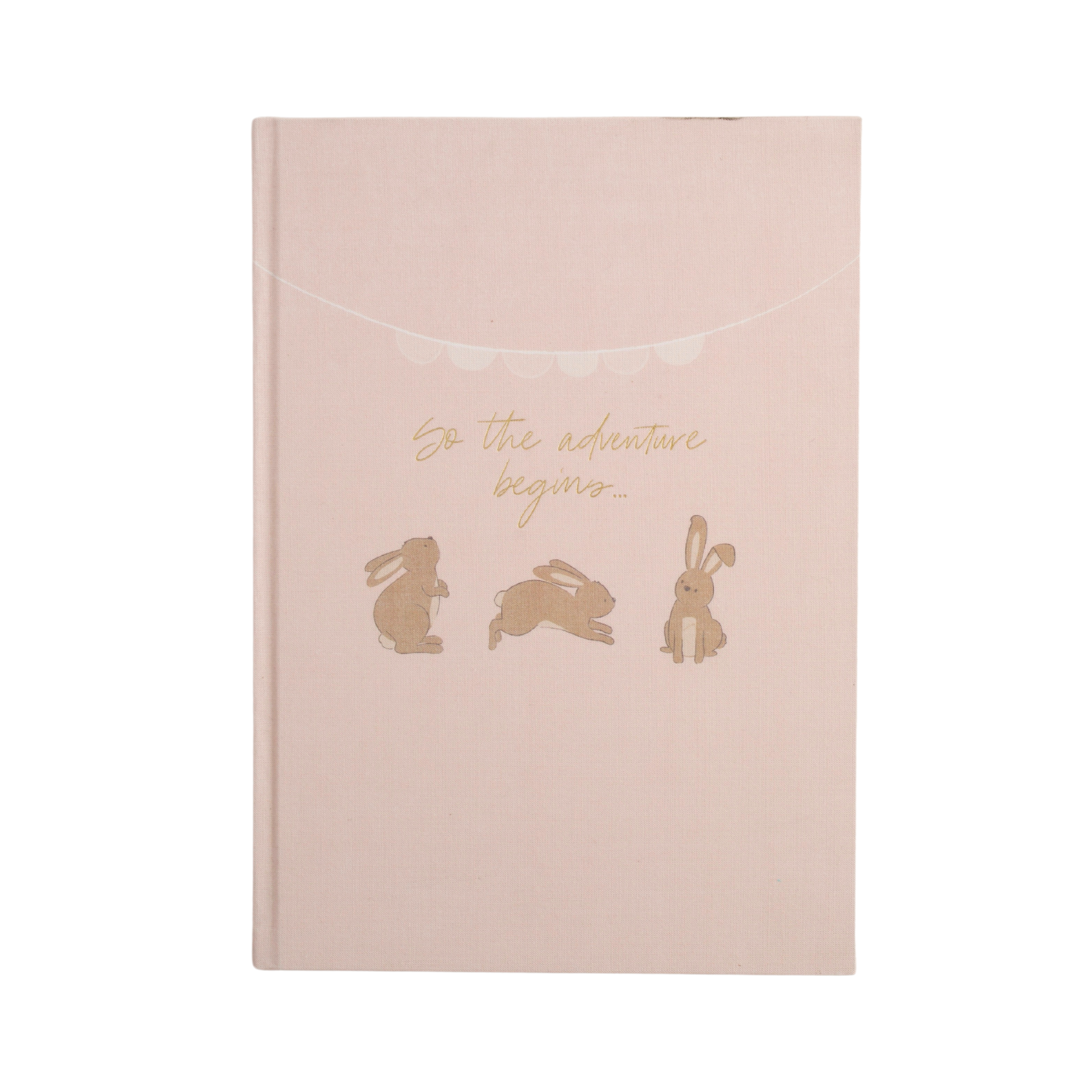 Baby Milestone Book - Playful Bunnies